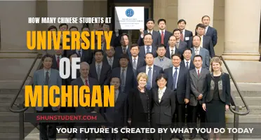 Chinese Students Thriving at the University of Michigan