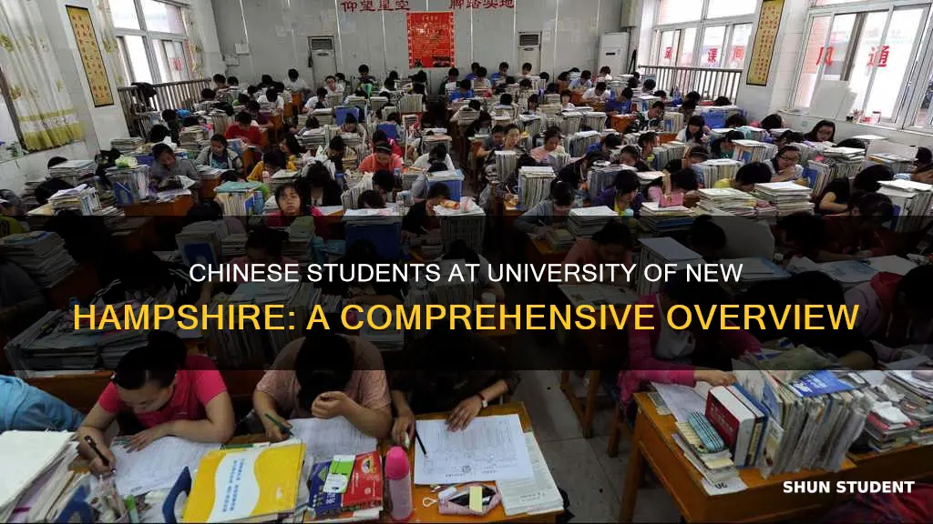 how many chinese students at university of new hampshire