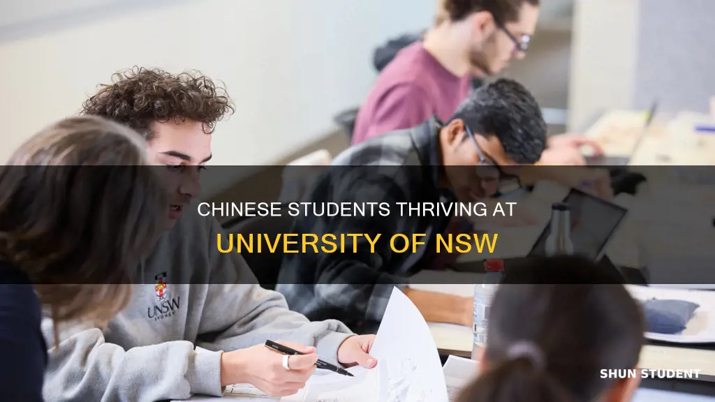 how many chinese students at university of nsw