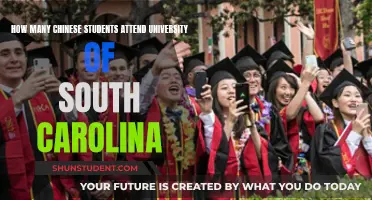 Chinese Students at University of South Carolina: Attendance Numbers