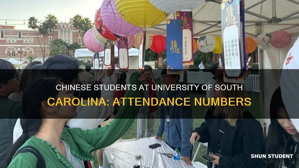 how many chinese students attend university of south carolina