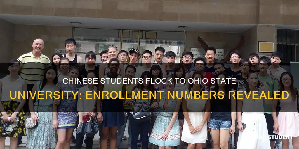 how many chinese students enroll for ohio state university