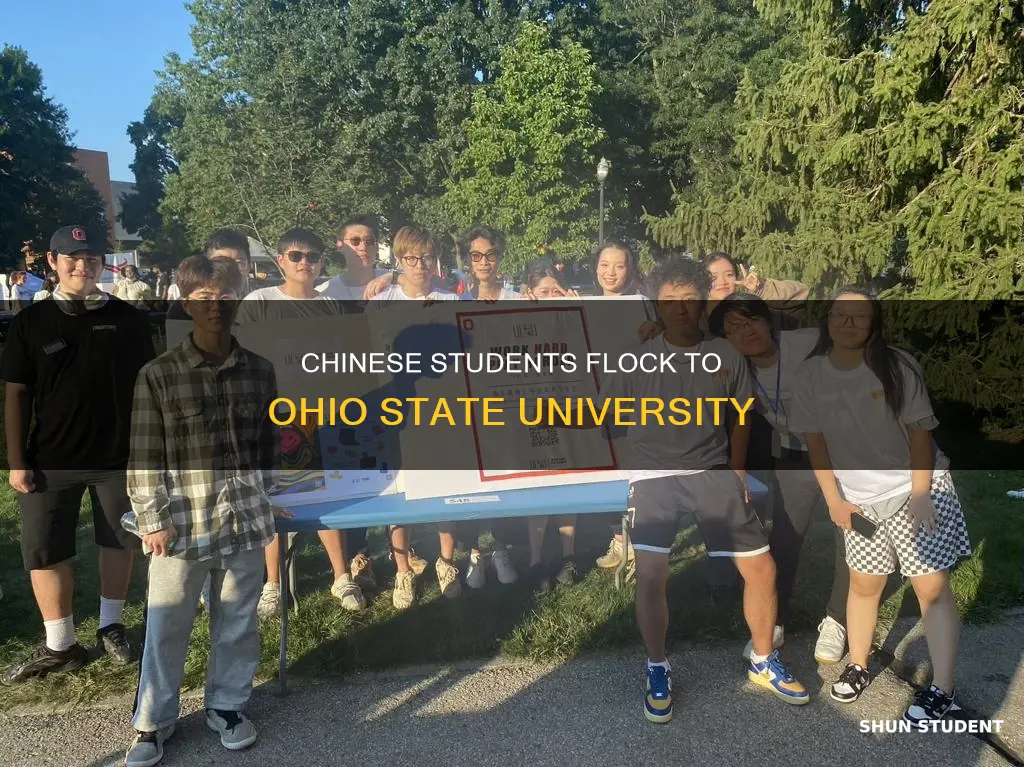 how many chinese students enroll for ohio state university