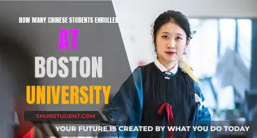 Boston University's Chinese Student Enrollment Figures