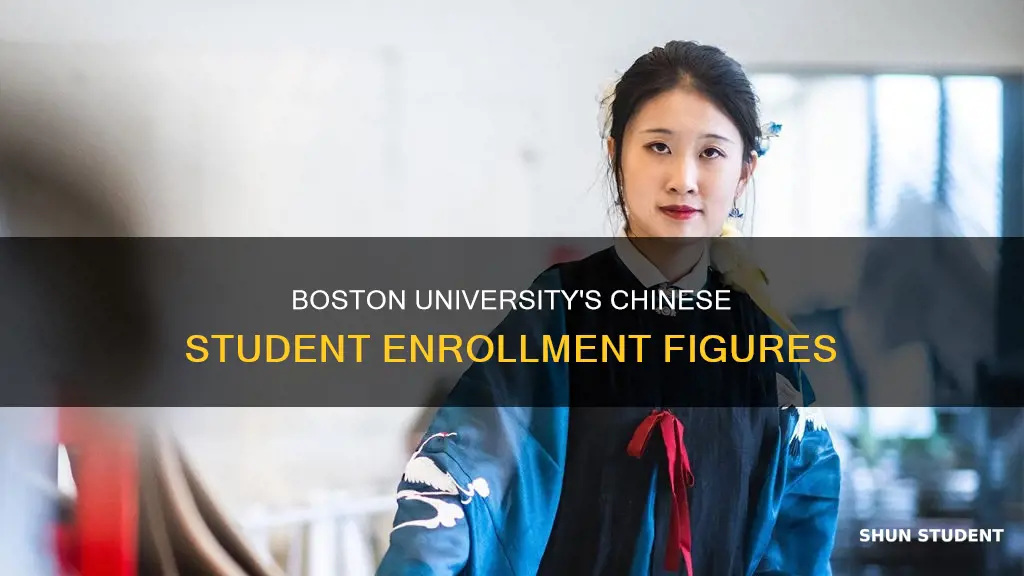 how many chinese students enrolled at boston university