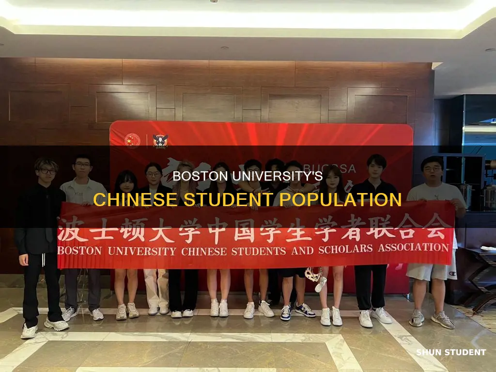 how many chinese students enrolled at boston university