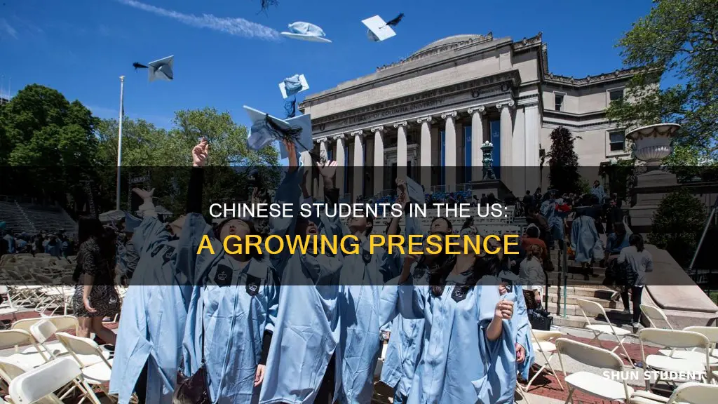 how many chinese students in american universities