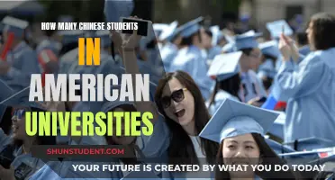 Chinese Students in the US: A Growing Presence