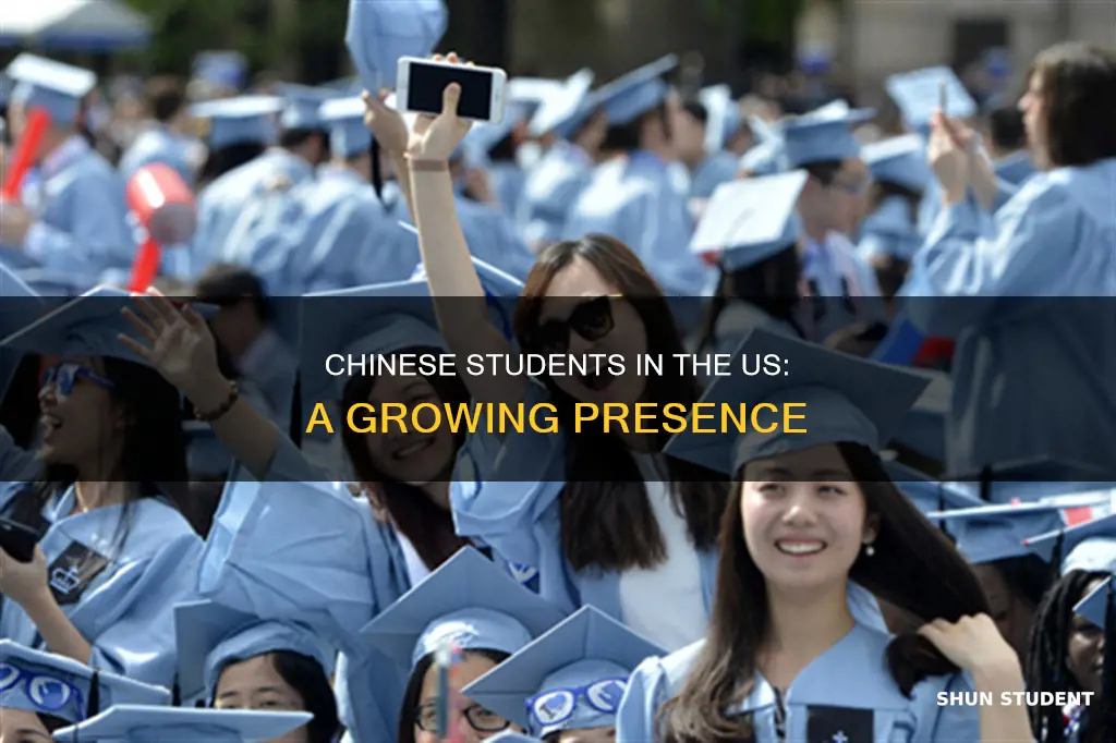 how many chinese students in american universities