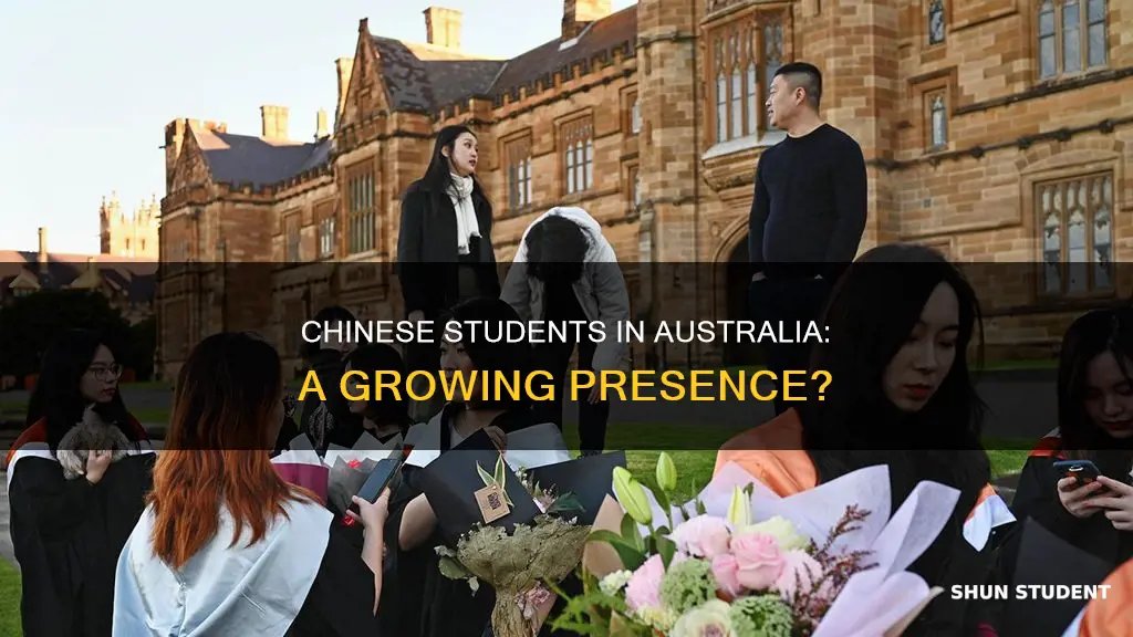 how many chinese students in australian universities