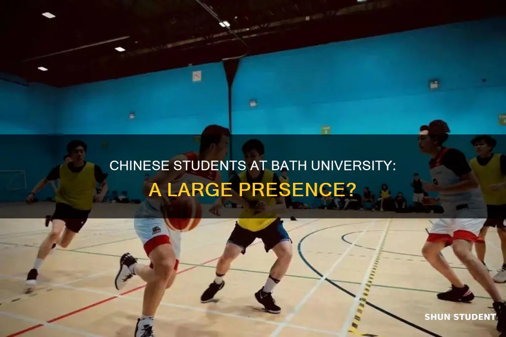 how many chinese students in bath university