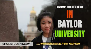 Chinese Students at Baylor University: A Growing Population