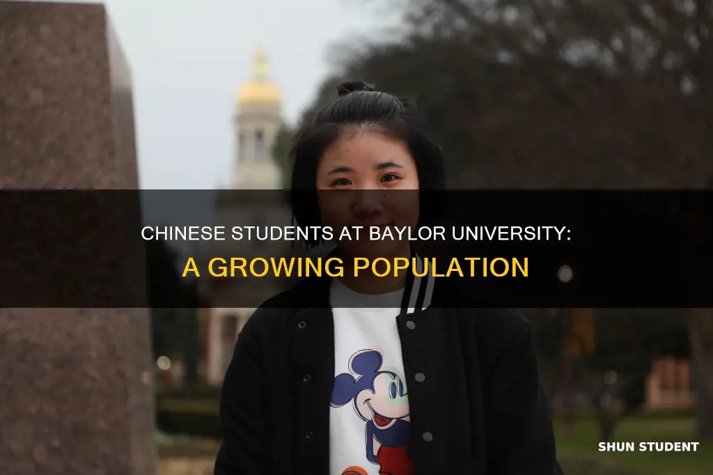 how many chinese students in baylor university