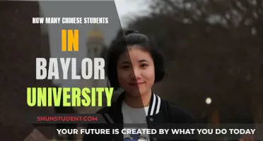 Chinese Students at Baylor University: A Growing Population