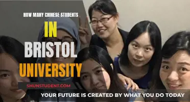 Chinese Students Flock to Bristol University: Why?