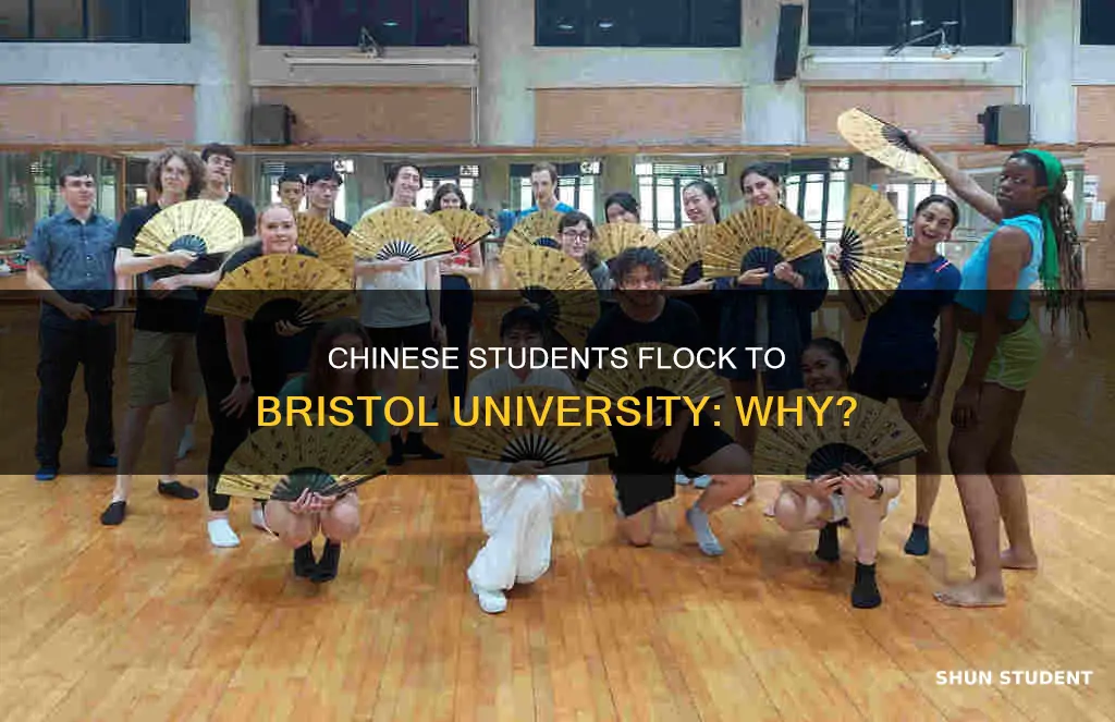 how many chinese students in bristol university