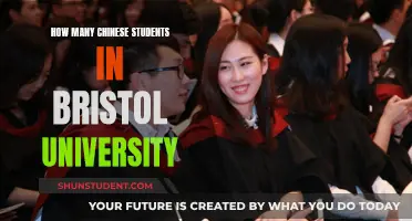Chinese Students at Bristol University: A Growing Presence