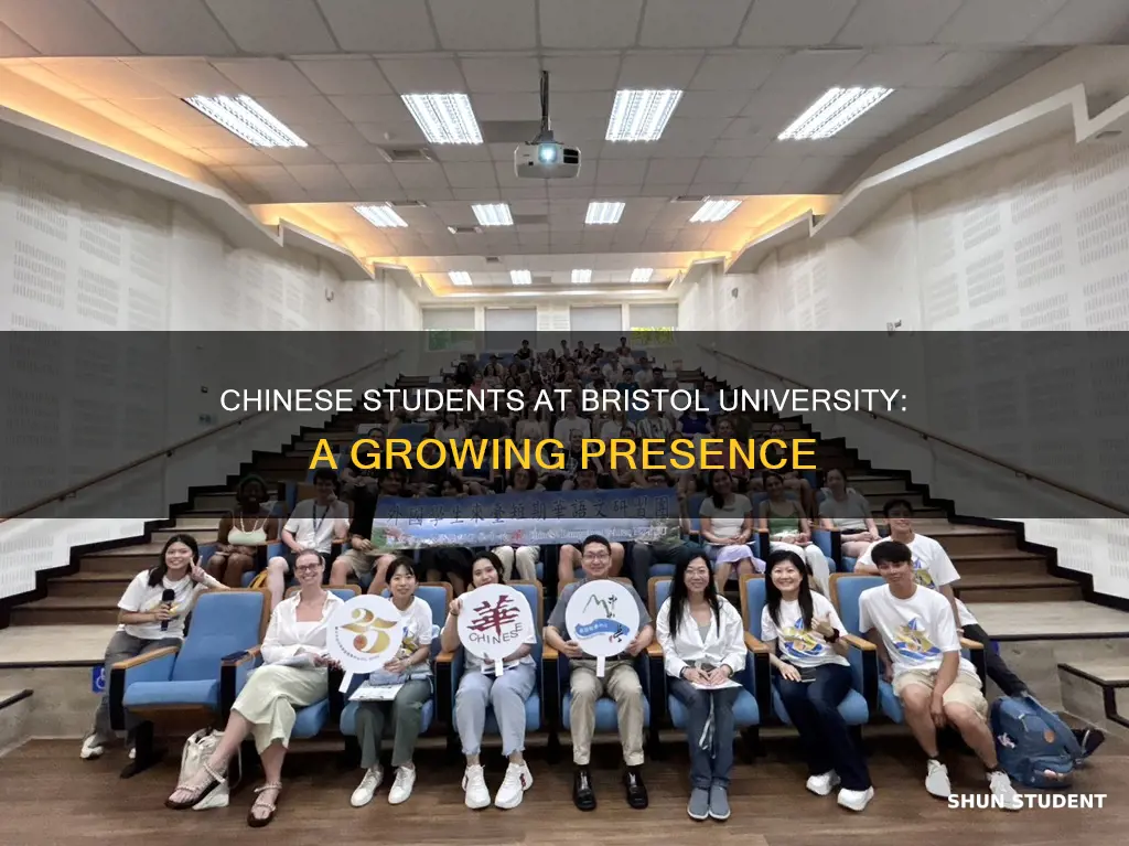 how many chinese students in bristol university