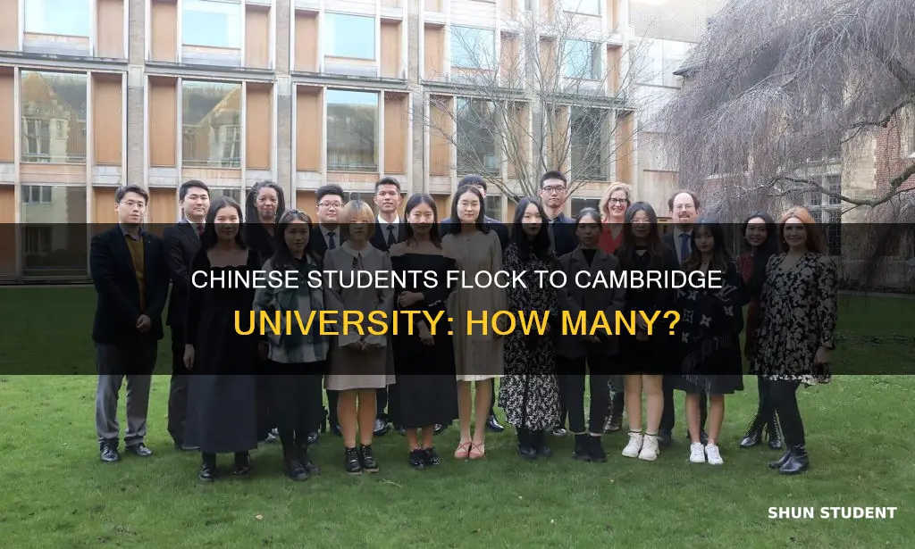 how many chinese students in cambridge university