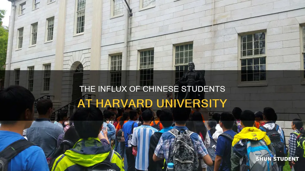 how many chinese students in harvard university