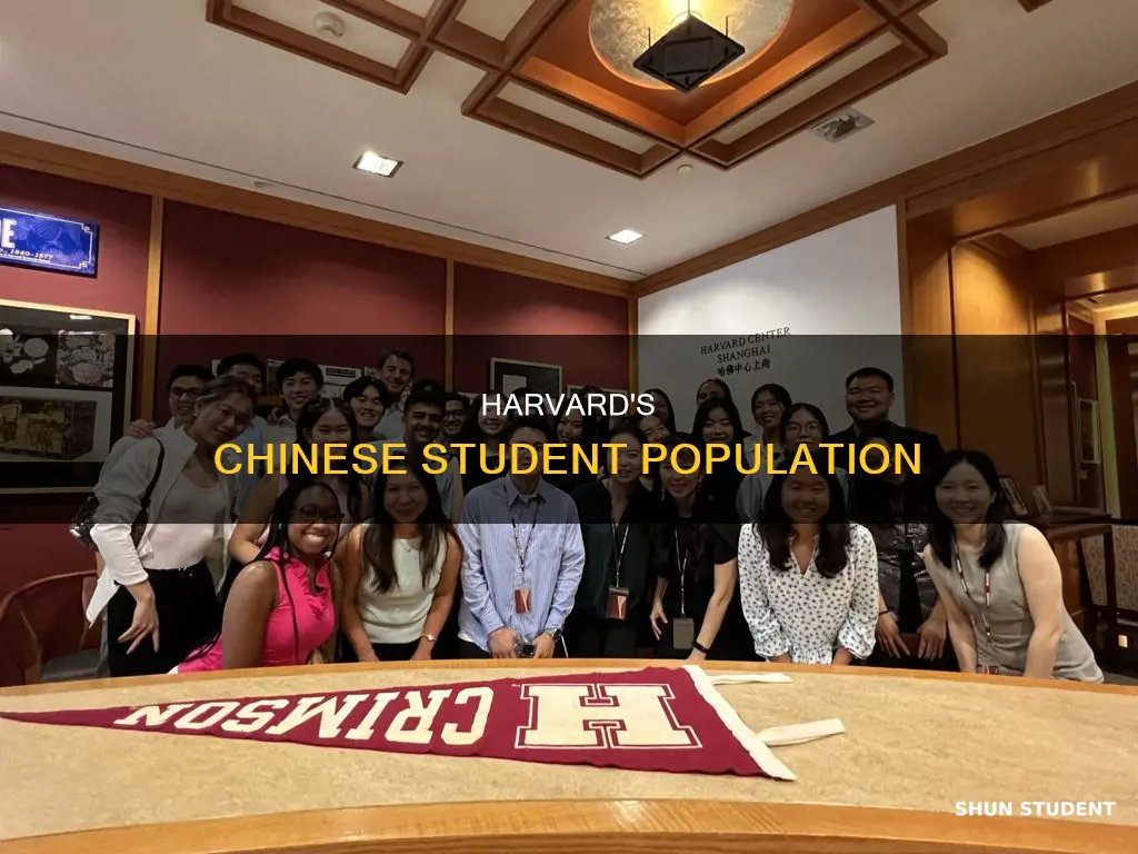 how many chinese students in harvard university