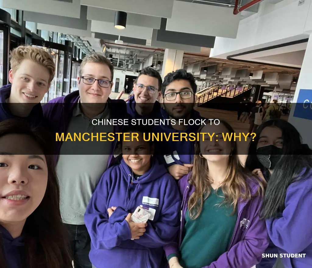 how many chinese students in manchester university