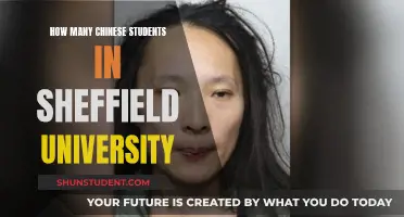 Chinese Students in Sheffield University: A Growing Community