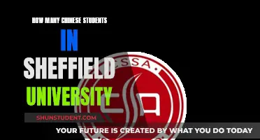 Sheffield University's Chinese Student Population