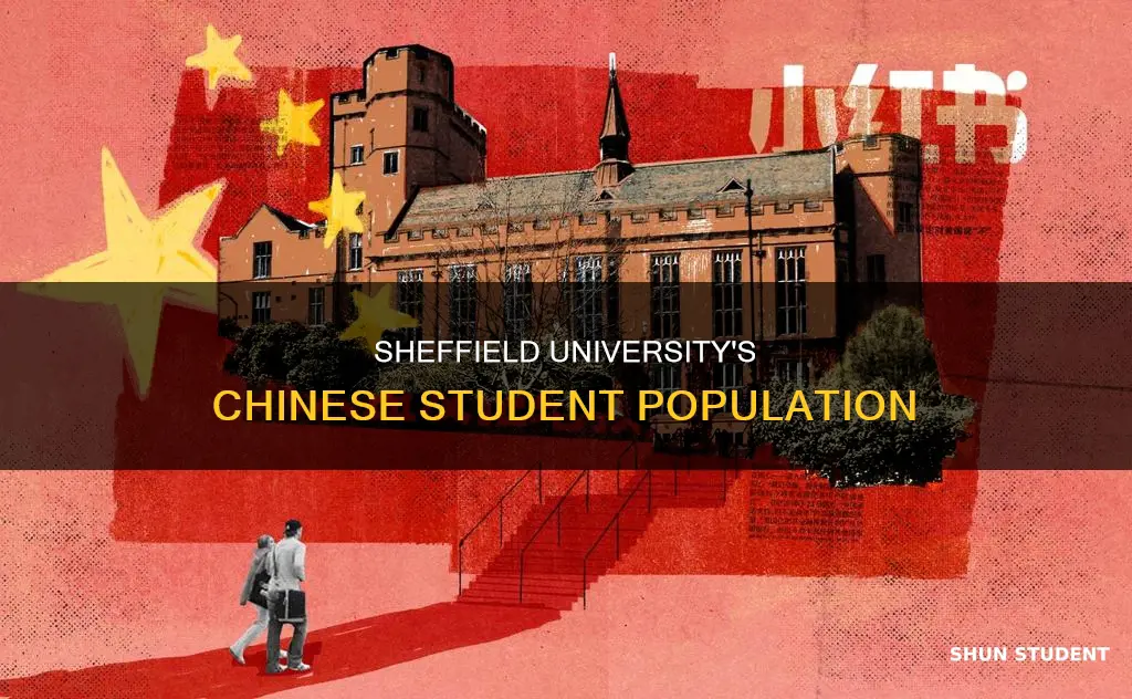 how many chinese students in sheffield university