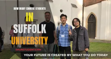 Chinese Students at Suffolk University: A Growing Population?