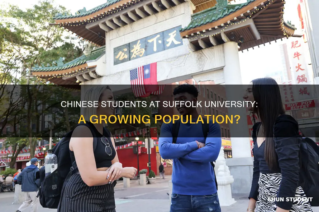 how many chinese students in suffolk university