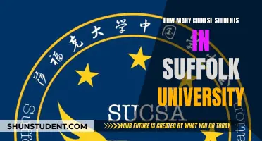 Chinese Students Flock to Suffolk University