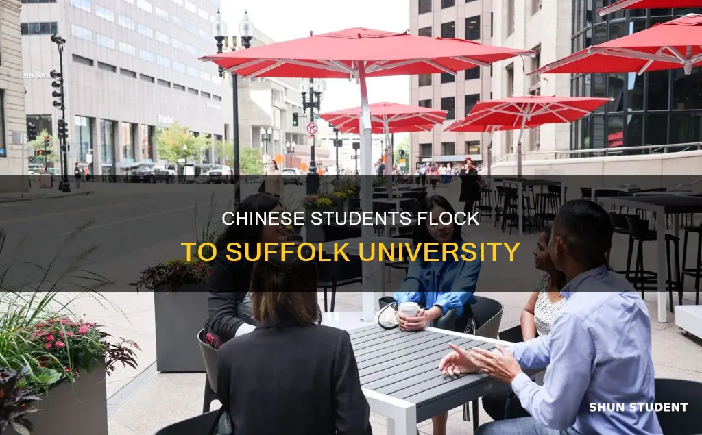 how many chinese students in suffolk university