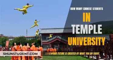 Chinese Students Flock to Temple University: Why So Many?