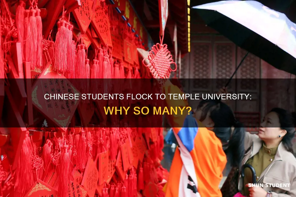 how many chinese students in temple university