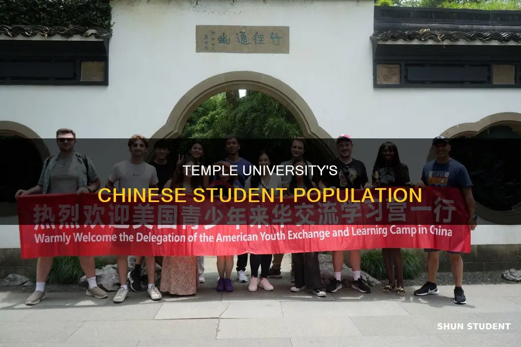 how many chinese students in temple university