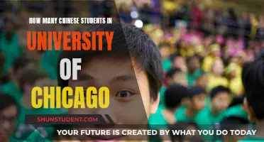 Chinese Students at University of Chicago: Population Analysis