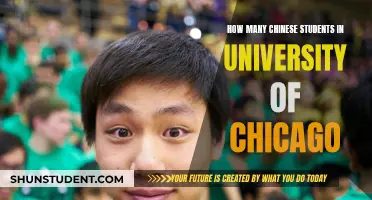 Chicago University's Chinese Student Population Explored