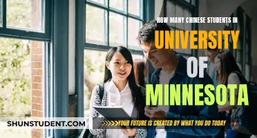 Chinese Students Flock to the University of Minnesota