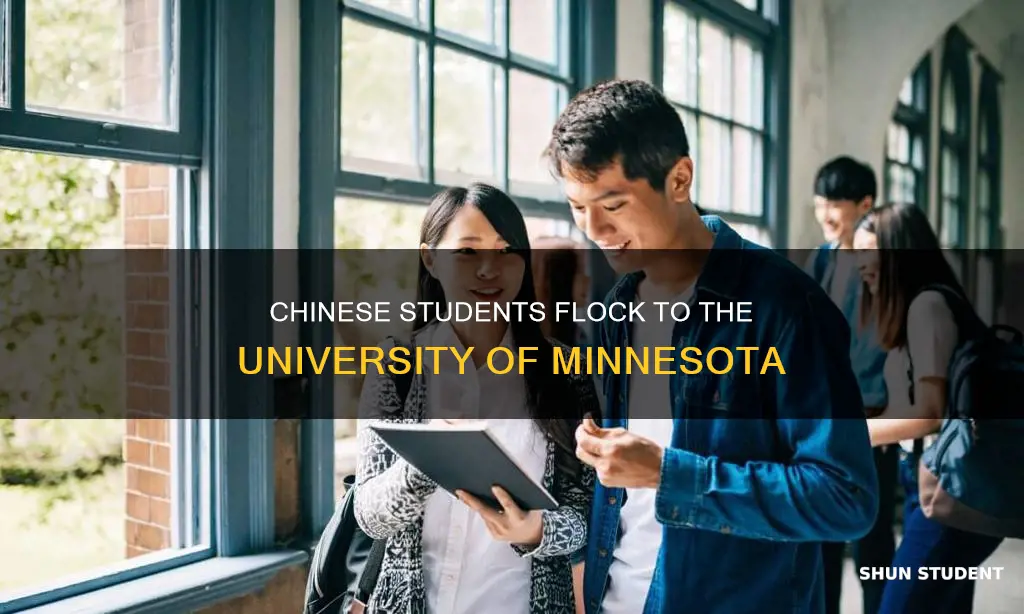 how many chinese students in university of minnesota