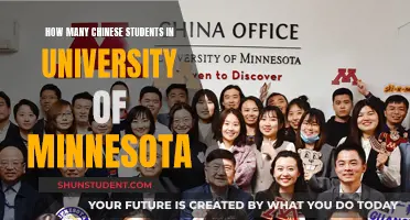 Chinese Students Flock to the University of Minnesota