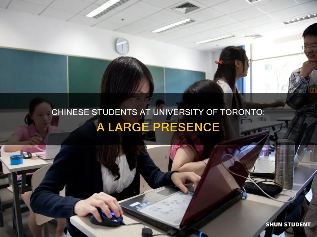 how many chinese students in university of toronto