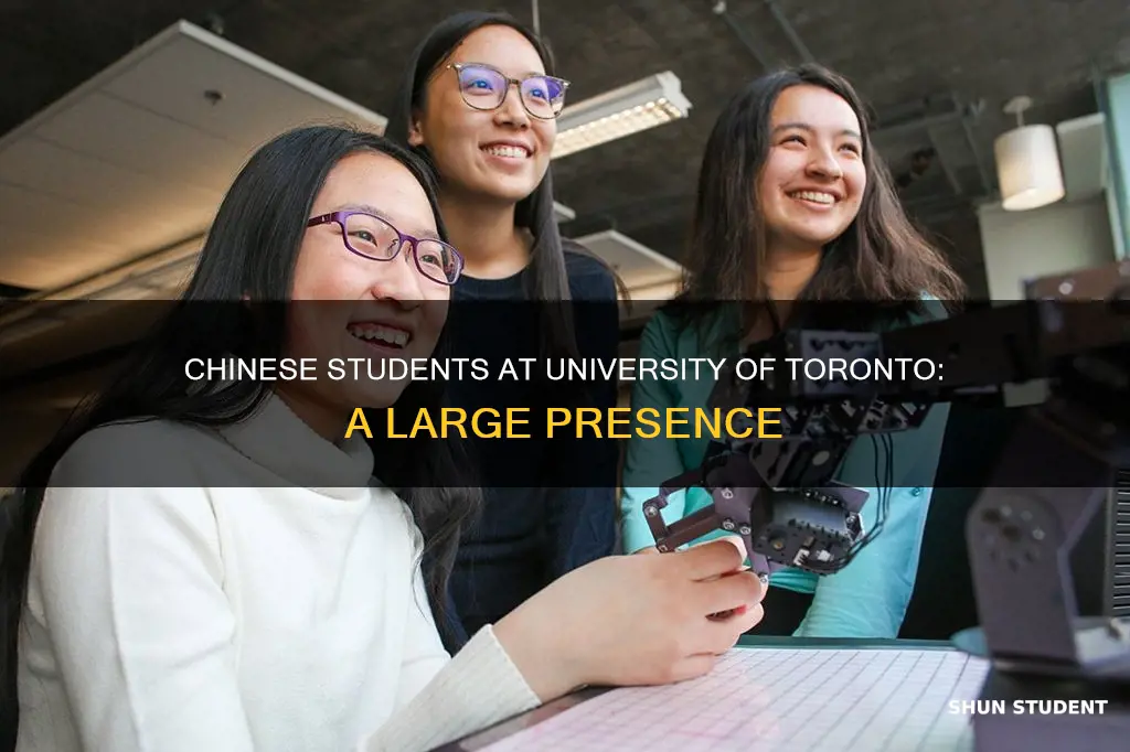 how many chinese students in university of toronto