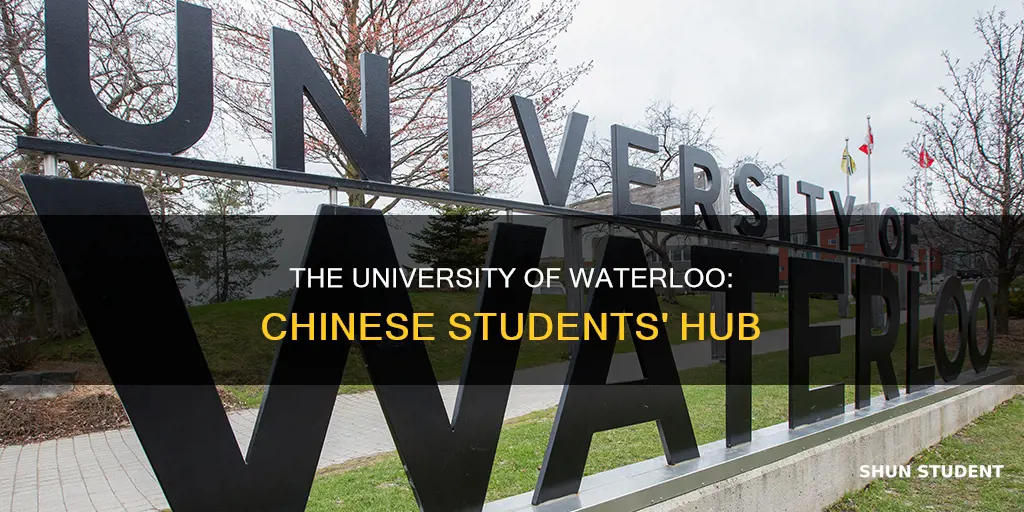 how many chinese students in university of waterloo