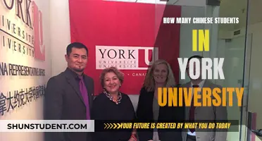 Chinese Students at York University: A Large Presence?