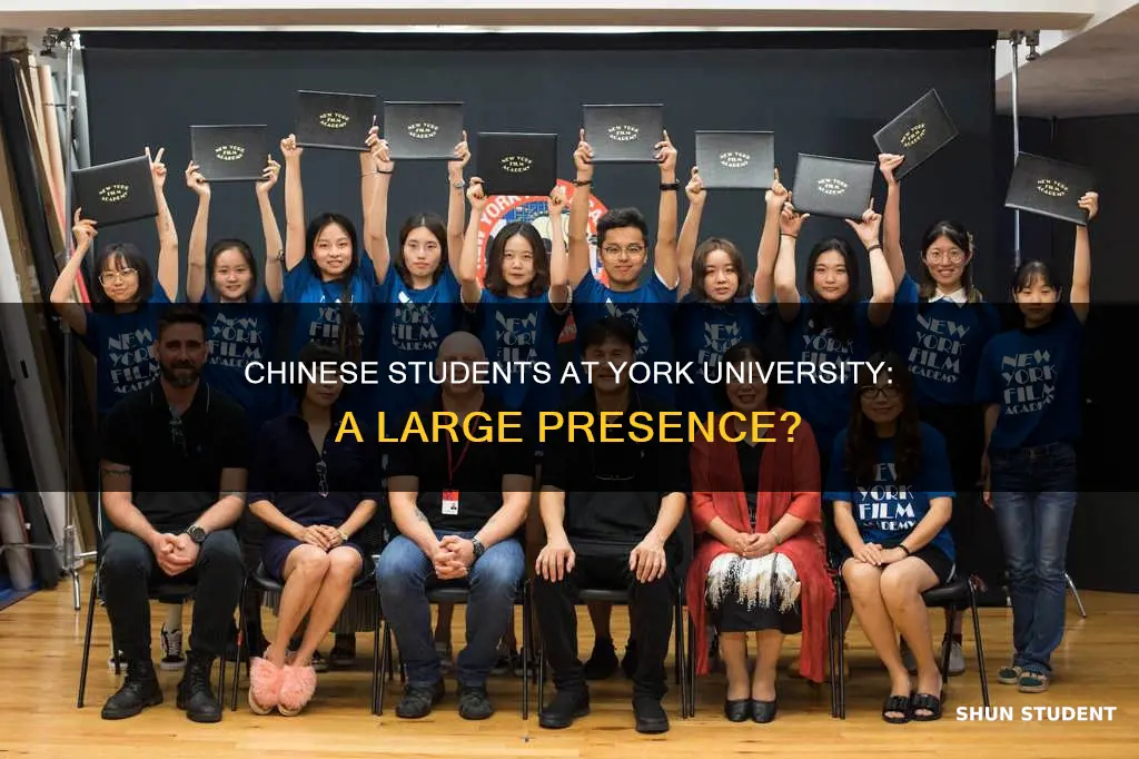 how many chinese students in york university