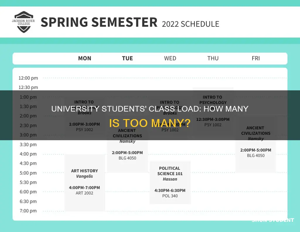 how many classes do university students take