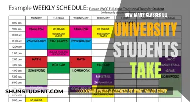 University Students: How Many Classes is Normal?