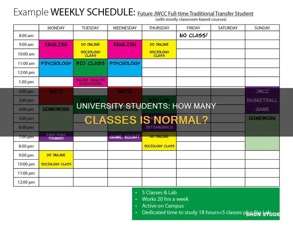 how many classes do university students take