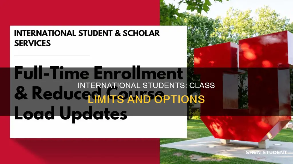how many classes must international student can take